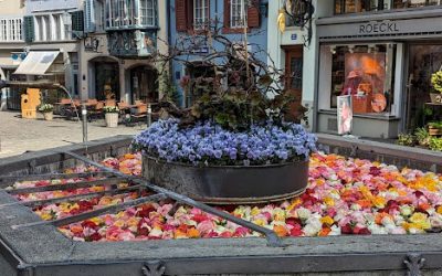 A Zurigo le fontane del centro “fioriscono” per Pasqua