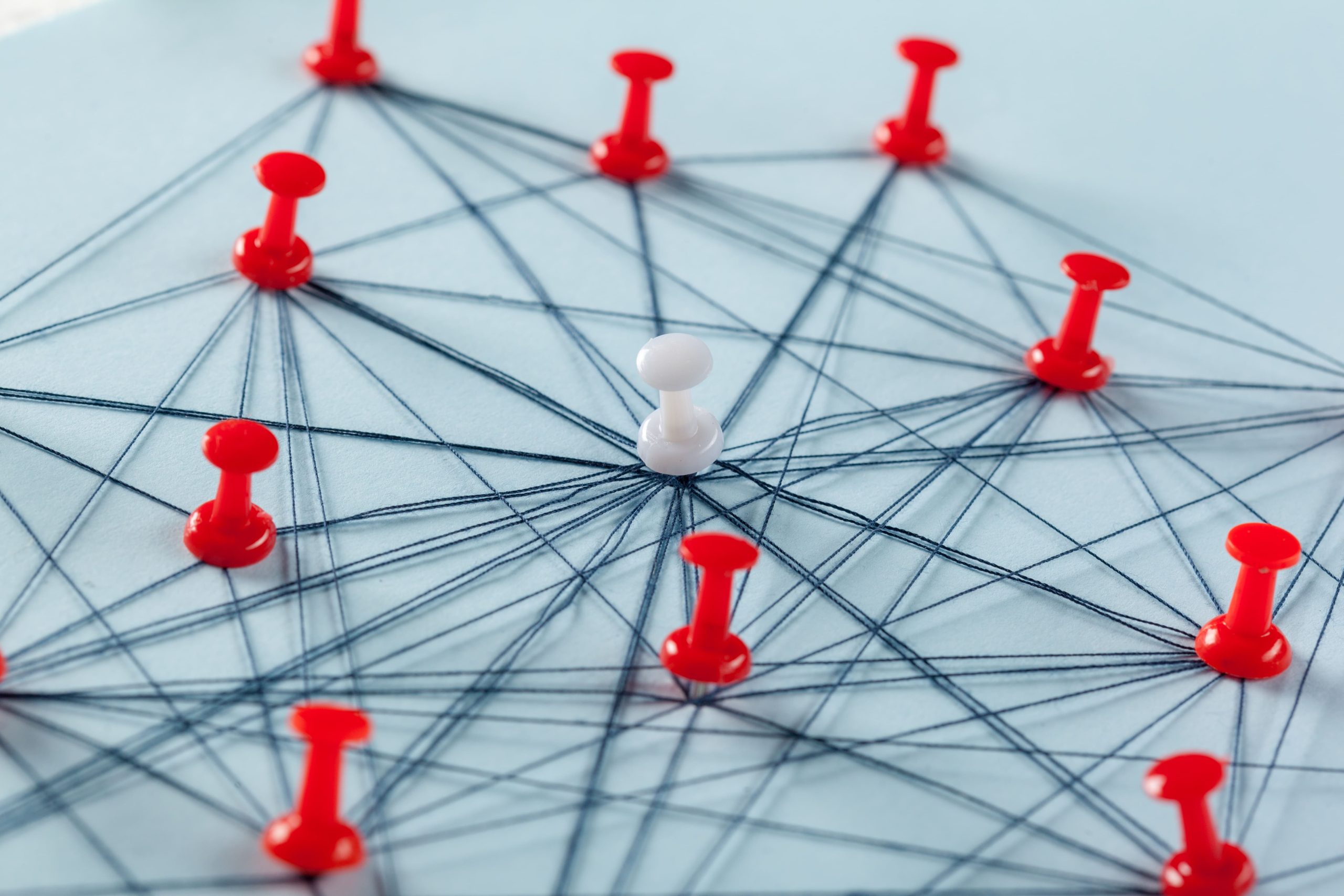 network-with-pins (1) servizi-di-comunicazione